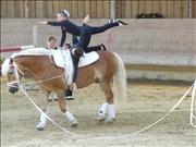 voltitag 2009 _CD1 146